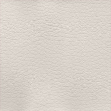 Load image into Gallery viewer, Apollo Multipurpose 4-Way Stretch Vinyl Upholstery Fabric