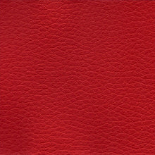 Load image into Gallery viewer, Apollo Multipurpose 4-Way Stretch Vinyl Upholstery Fabric