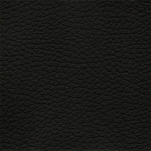 Load image into Gallery viewer, Apollo Multipurpose 4-Way Stretch Vinyl Upholstery Fabric