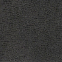 Load image into Gallery viewer, Apollo Multipurpose 4-Way Stretch Vinyl Upholstery Fabric