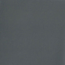 Load image into Gallery viewer, Caprice Automotive Vinyl Upholstery Fabric