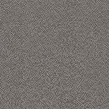 Load image into Gallery viewer, Toyota Automotive Vinyl Upholstery Fabric