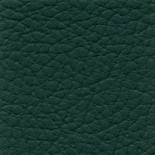 Load image into Gallery viewer, XTREME Multipurpose Automotive Vinyl Upholstery Fabric