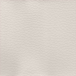 Apollo Multipurpose 4-Way Stretch Vinyl Upholstery Fabric