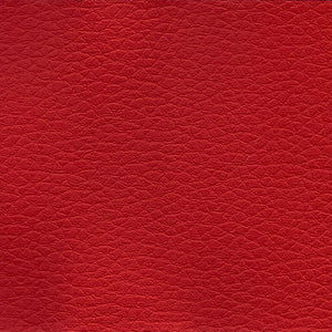 Apollo Multipurpose 4-Way Stretch Vinyl Upholstery Fabric