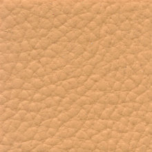 Load image into Gallery viewer, XTREME Multipurpose Automotive Vinyl Upholstery Fabric
